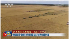 【新思惟引领新征程·不凡“十四五”】我国粮食