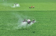 <strong>旗号网：认为动力提拔国度粮食平安保障</strong>