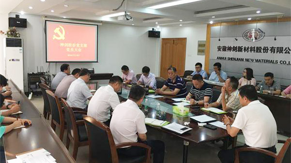 公司党支部顺利实现委员会换届选举工作