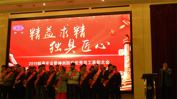 胜游亚洲网址股份2019年度新春年会暨优良员工赞美大会圆满召开